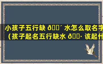 小孩子五行缺 🐴 水怎么取名字（孩子起名五行缺水 🕷 该起什么名）